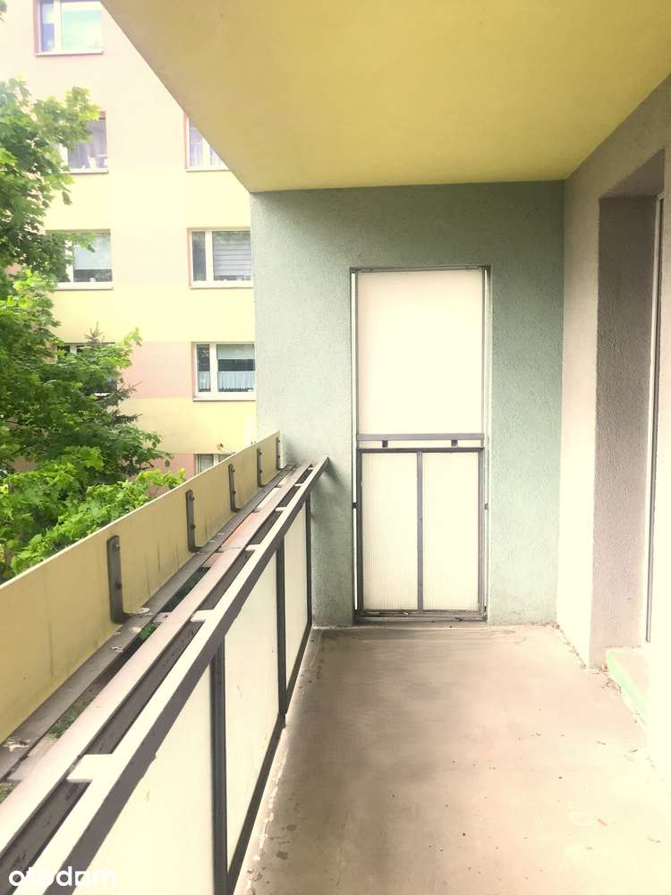 3POKOJE+kuchnia Magnolia/Astra 2wc/2 łazienki, bezpośrednio 4-5os