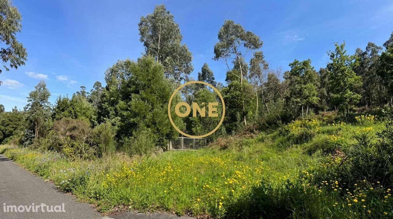 Bouça Murada em Lemenhe - Grande imagem: 2/3