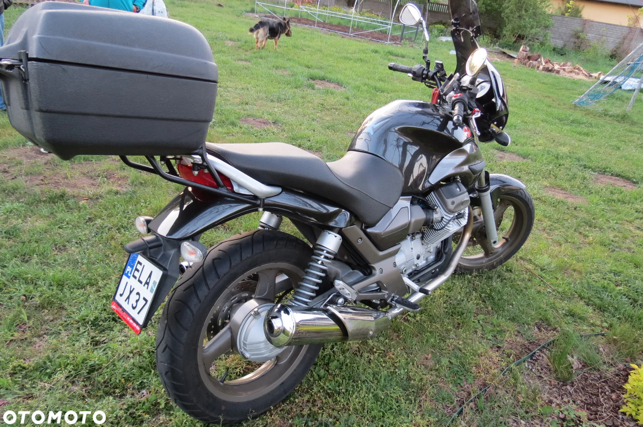 Moto Guzzi Breva - 22