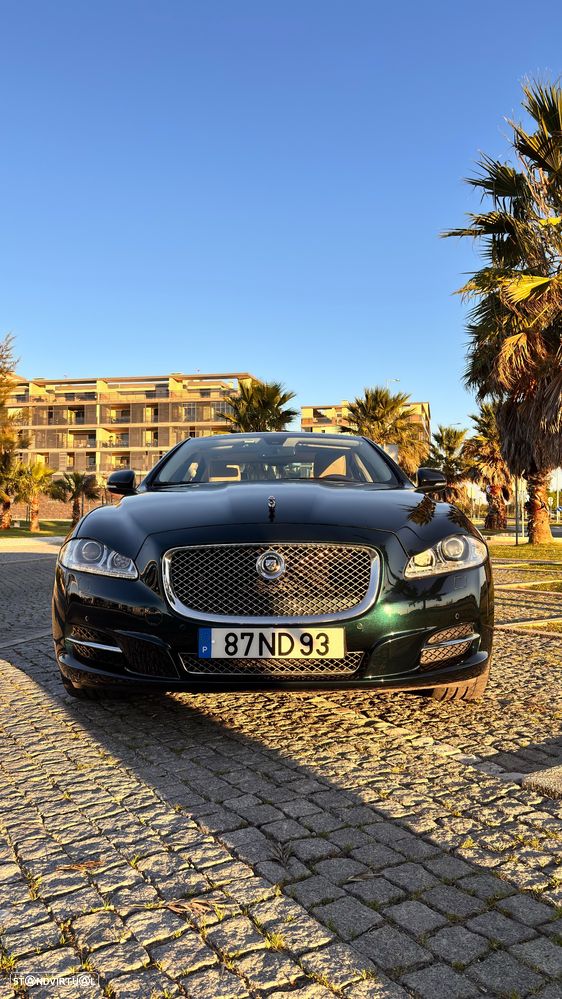 Jaguar XJ 3.0 D V6 Premium Luxury - 2