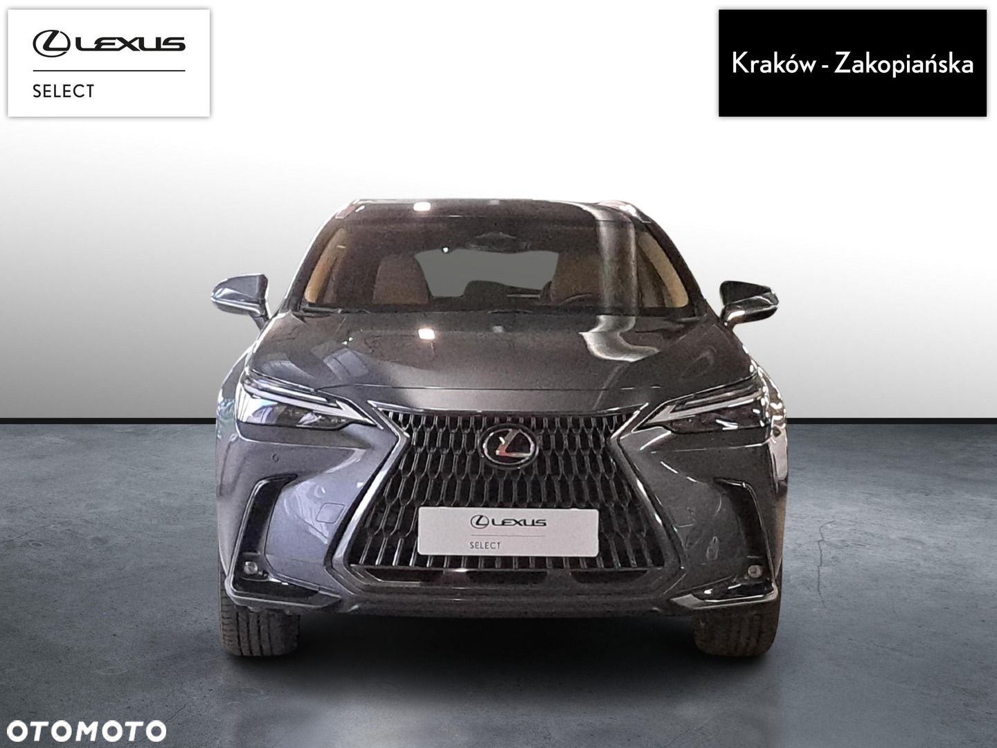 Lexus NX - 2