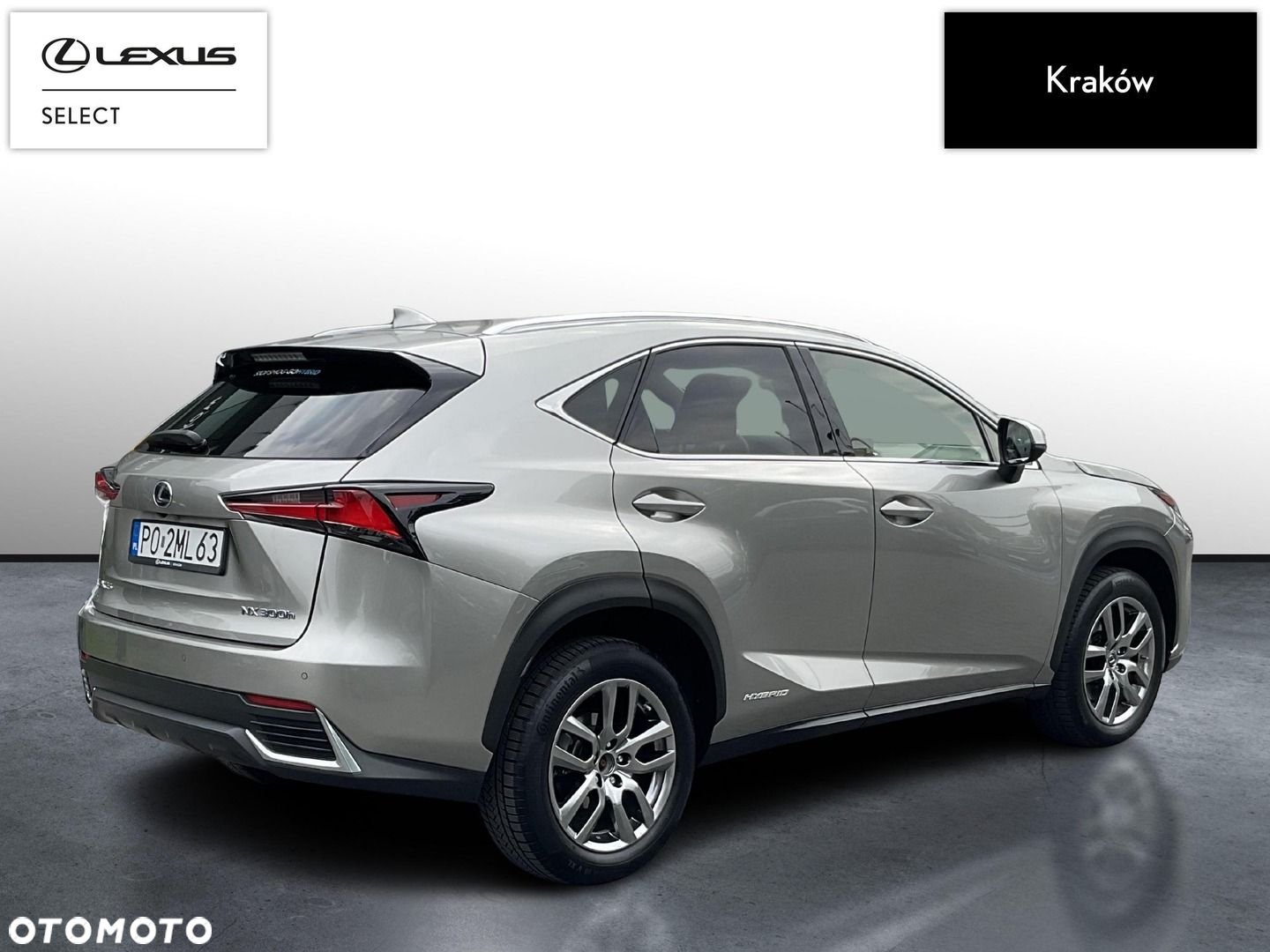 Lexus NX - 5
