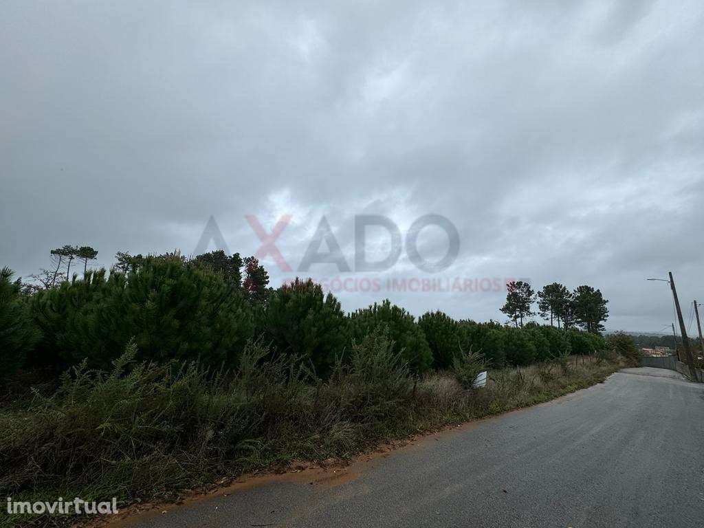 Terreno para construção na Folgosa da Madalena - Grande imagem: 4/7