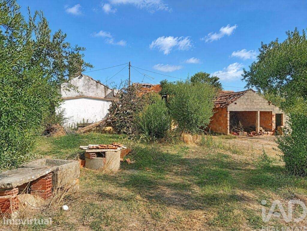 Casa / Villa T2 em Freixianda, Ribeira do Fárrio e Formigais - Grande imagem: 5/40