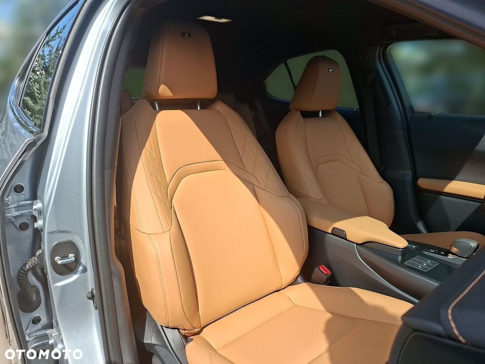 Lexus UX 300h F Sport Design - 18