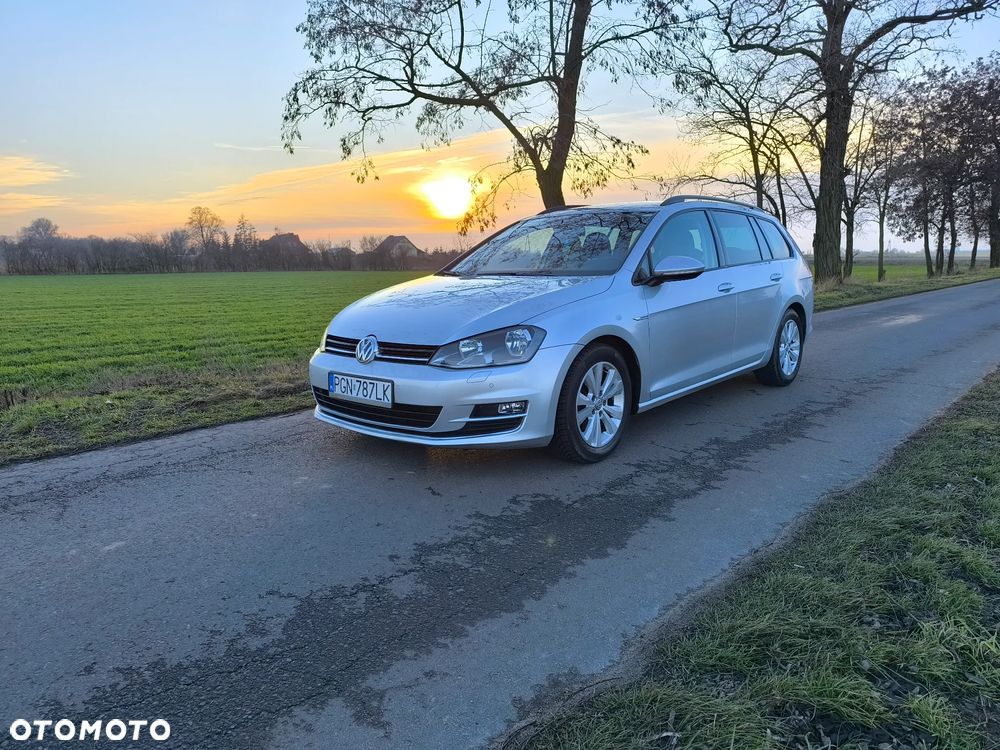 Volkswagen Golf - 21