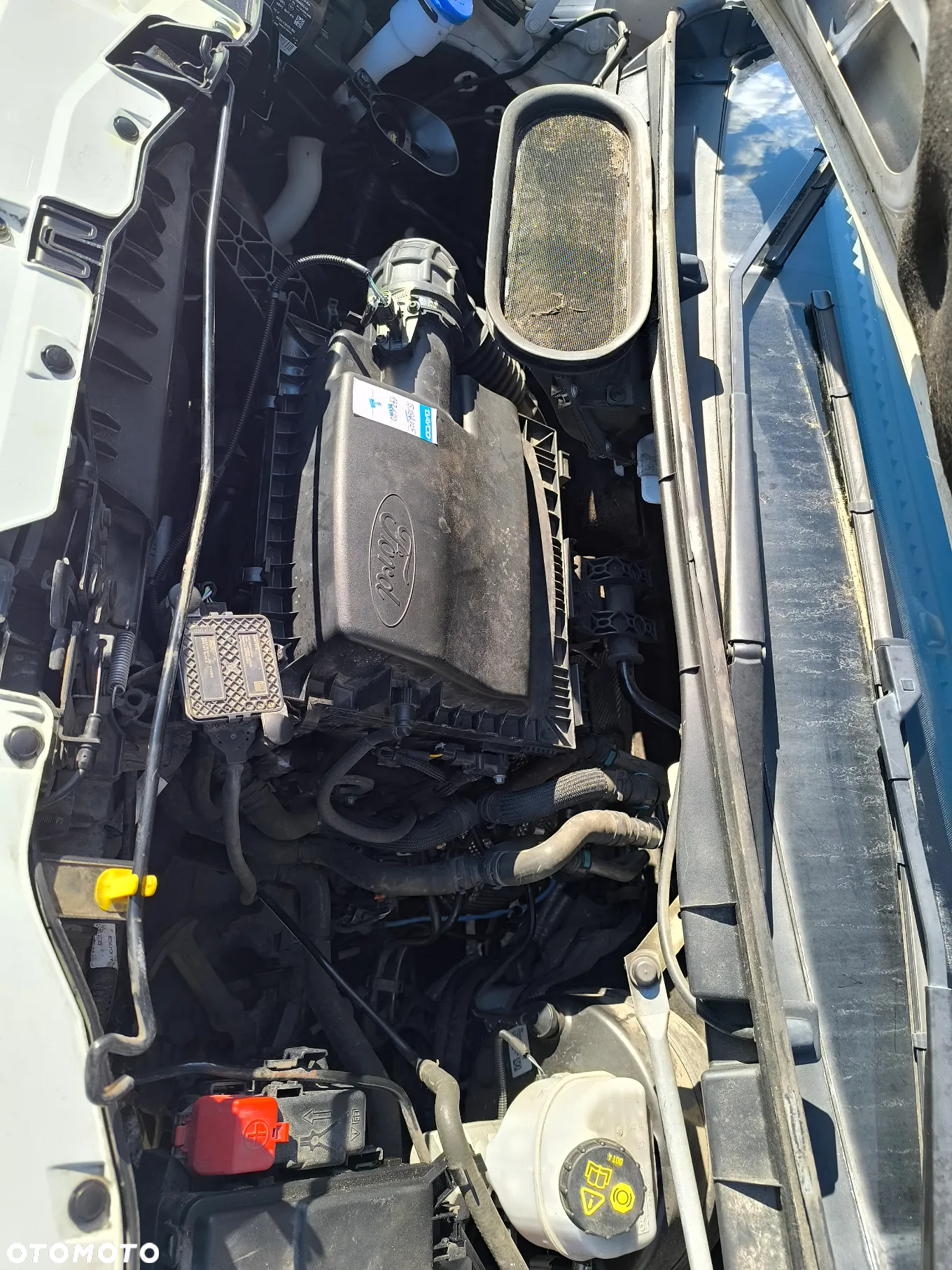 Ford Transit - 8