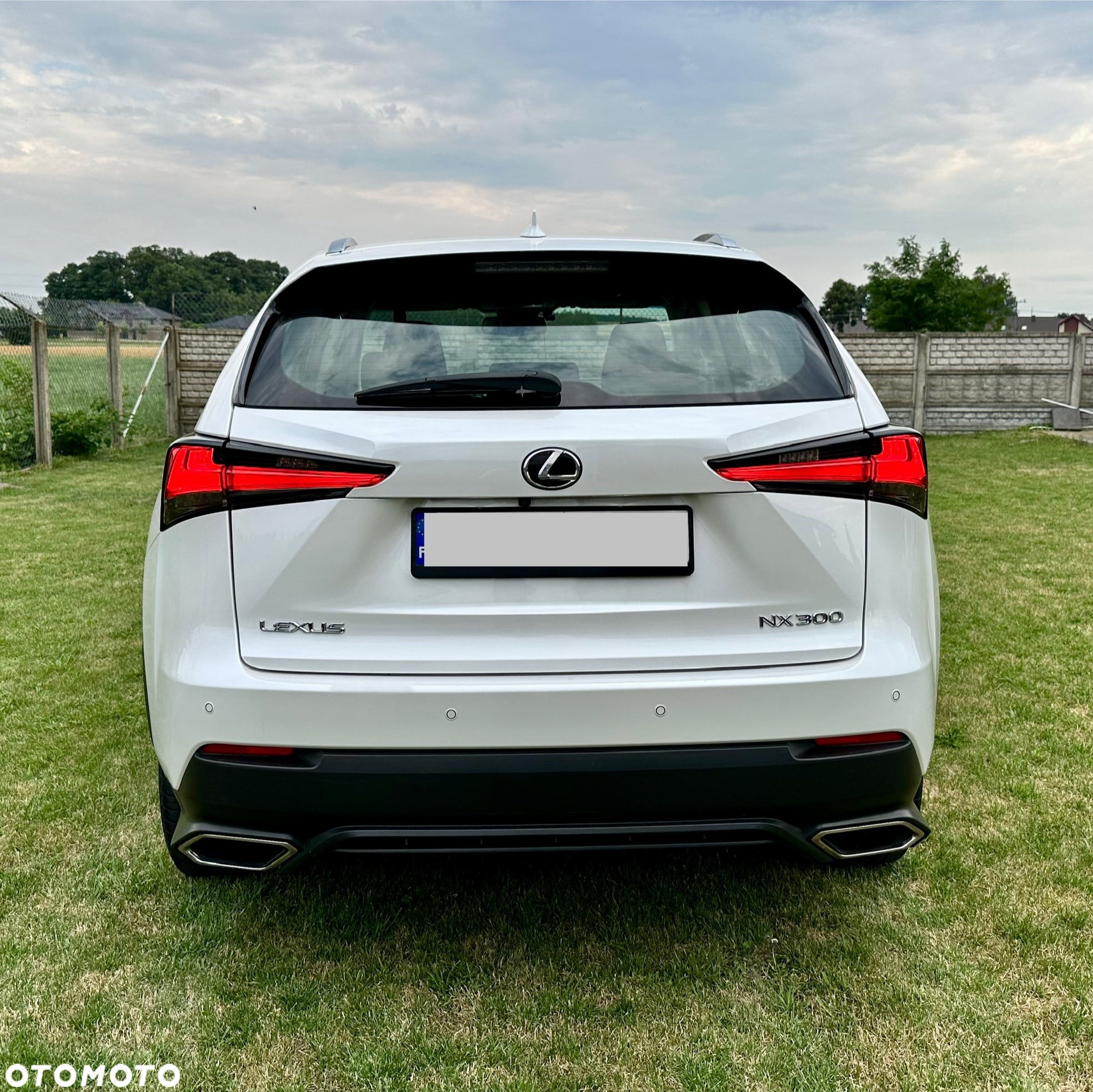 Lexus NX 300 Elegance AWD - 14