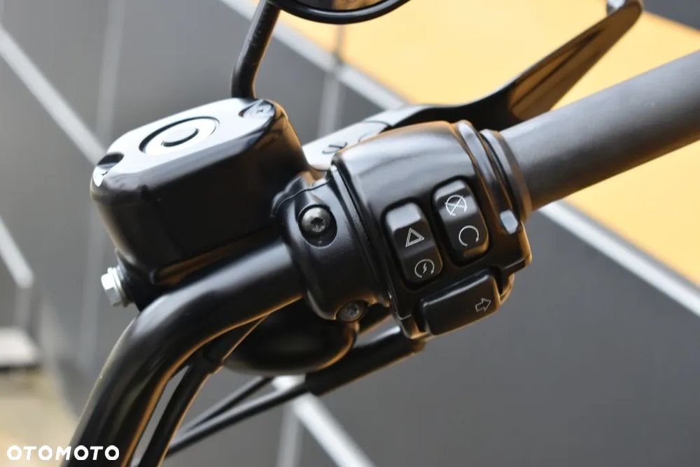 Harley-Davidson Sportster Iron 883 - 16