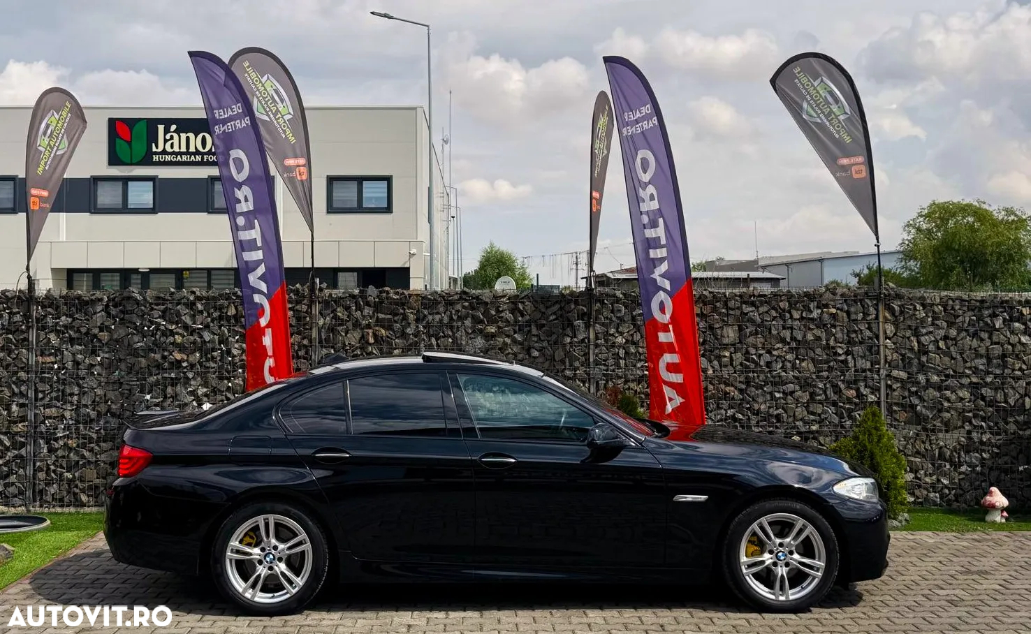 BMW Seria 5 520d - 16