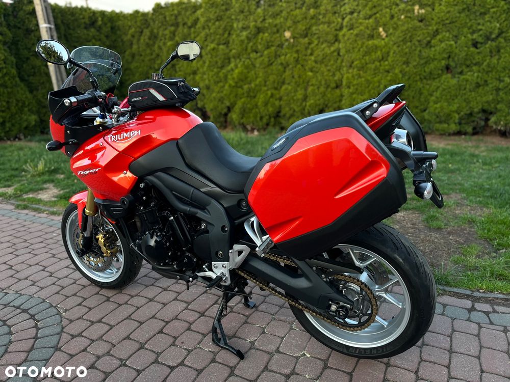 Triumph Tiger - 11