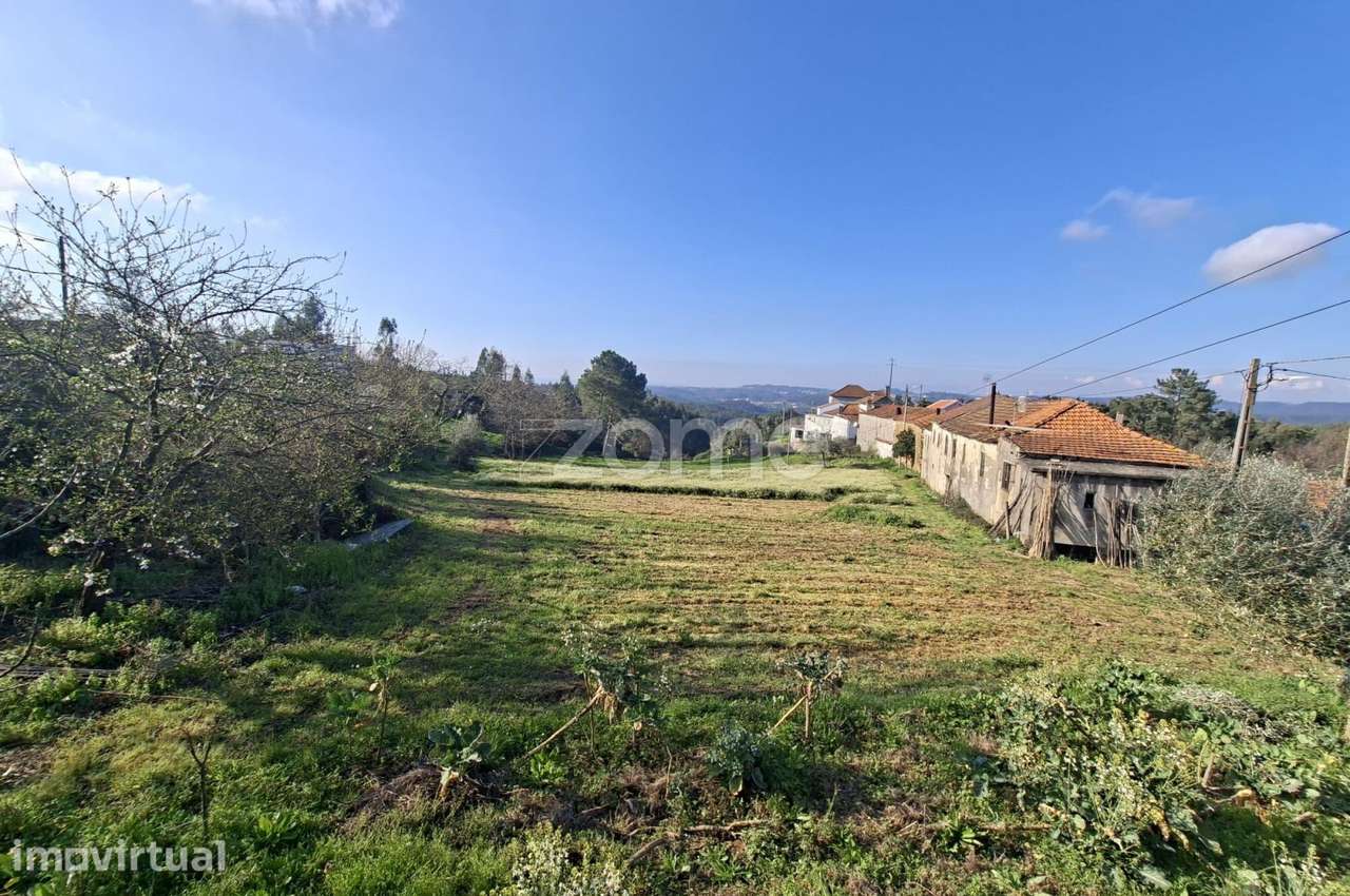 Quinta com 9 mil m2 na Póvoa da Rainha Santa- P. da BEIRA - ARGANIL - Grande imagem: 3/15