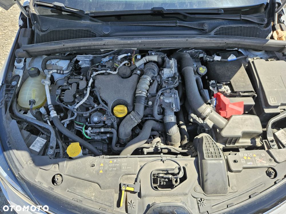 Renault Clio BLUE dCi 85 BUSINESS EDITION - 14