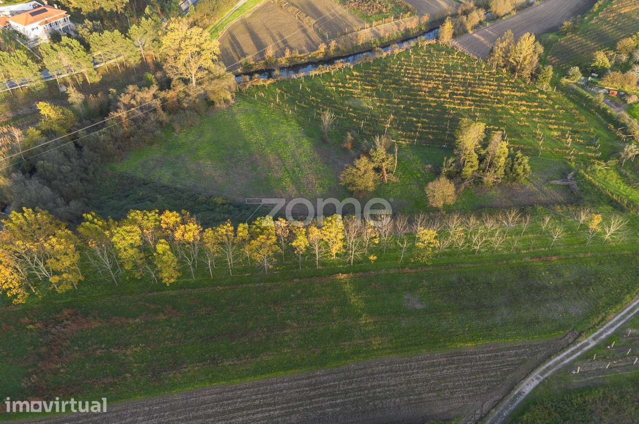 Godes - Terreno agrícola à beira rio c/ 4.819 m², em Sobreira - Grande imagem: 3/15