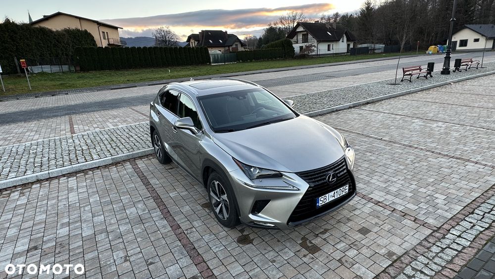 Lexus NX 300h Elite AWD - 8