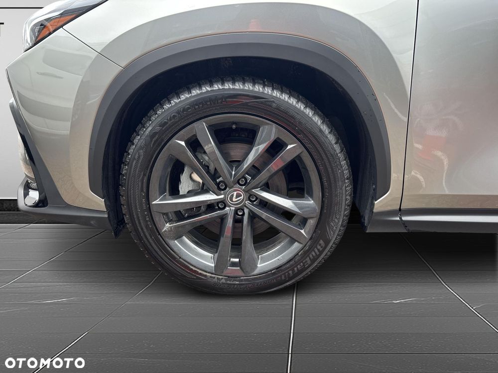 Lexus NX - 18