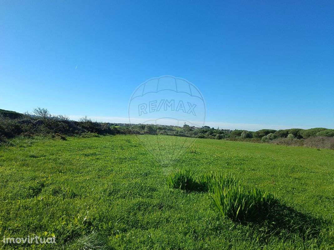 Terreno  para arrendamento - Grande imagem: 4/5