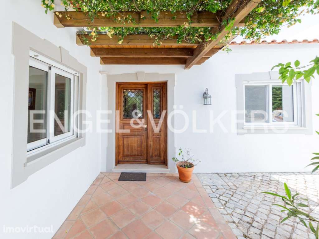 Lion House - Grande imagem: 5/45