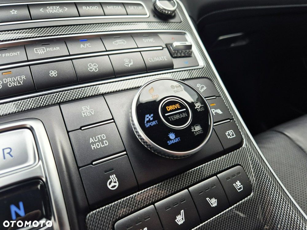 Hyundai Santa Fe - 39