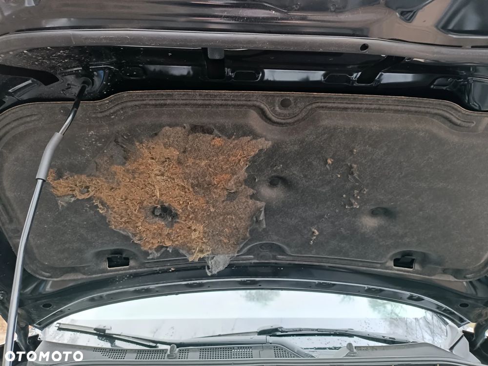 Mazda CX-5 2.0 Skymotion 2WD - 27