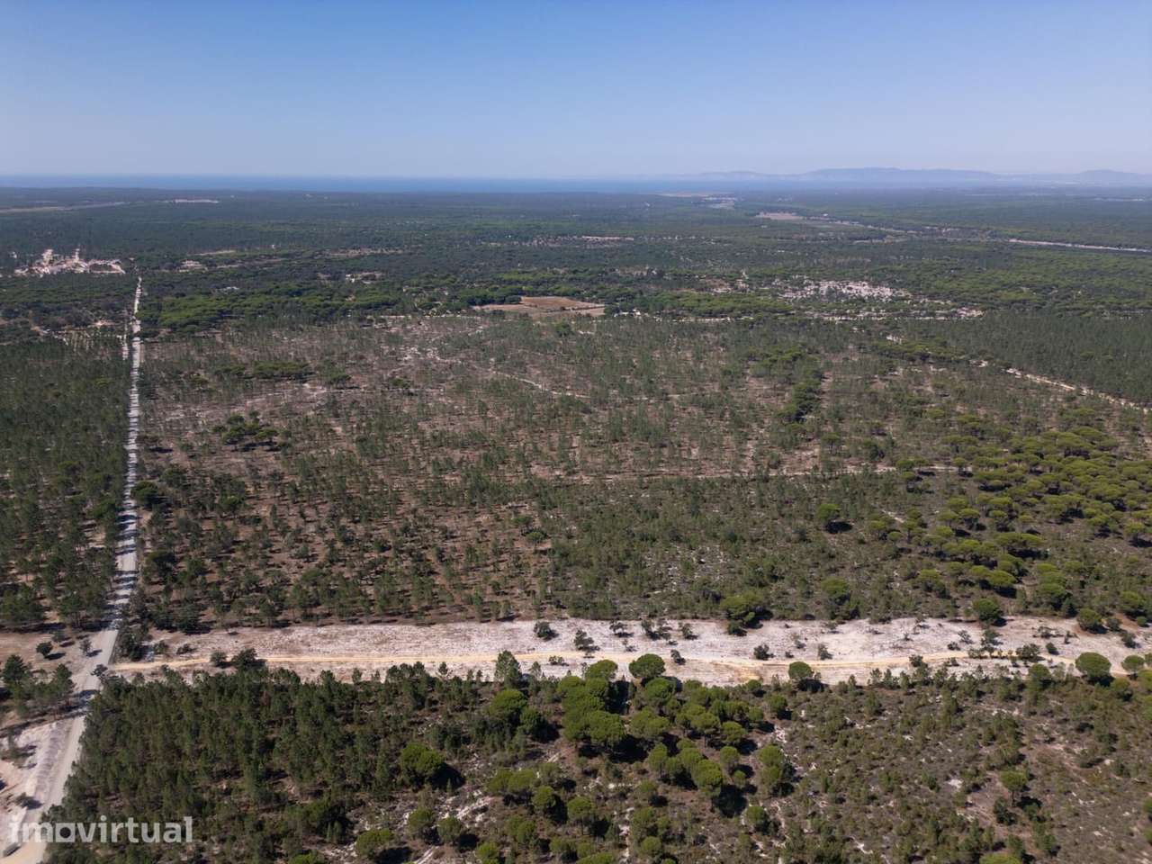 Terreno 9.4 ha, Muda, Grandola - Grande imagem: 5/25