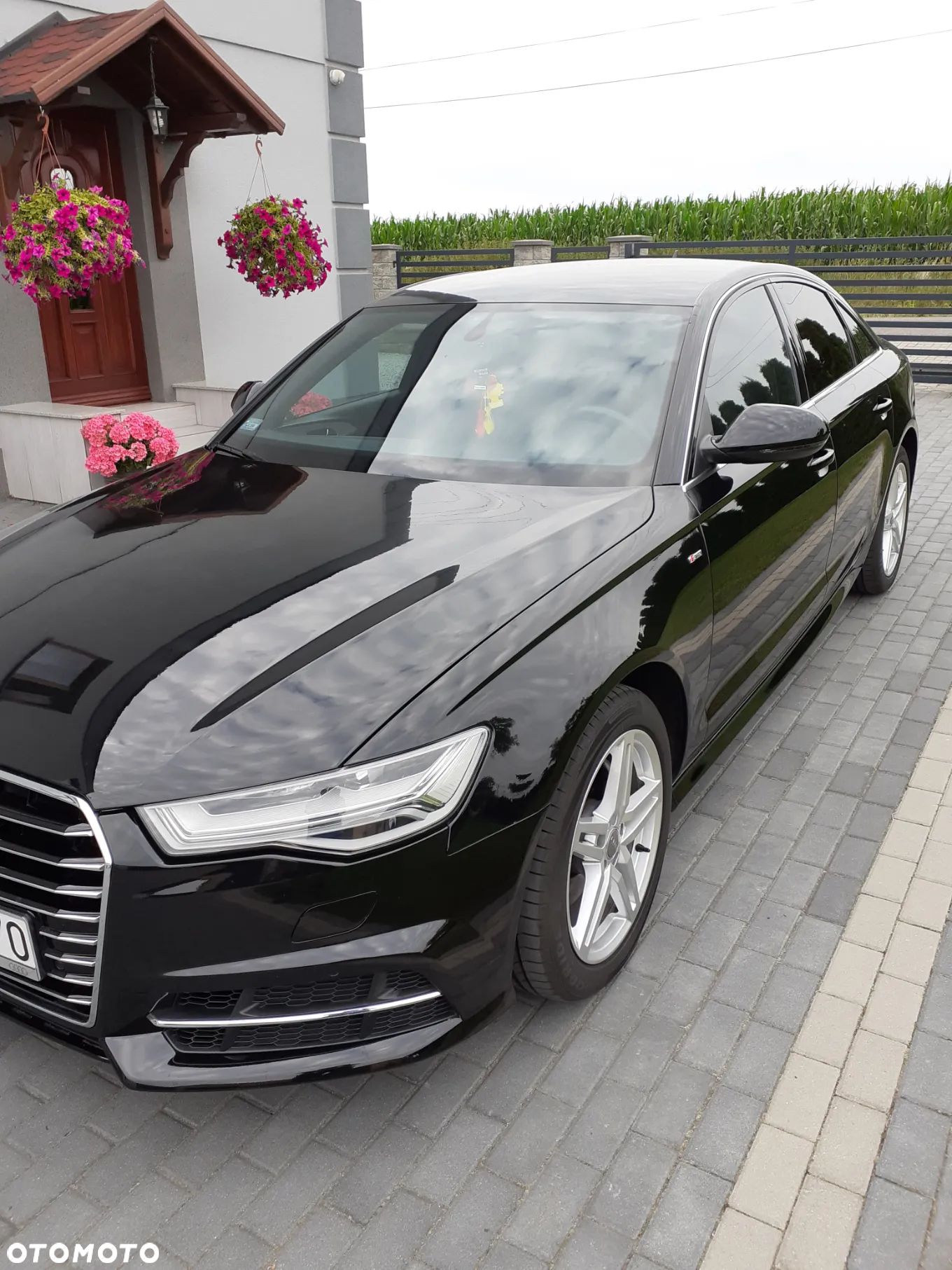 Audi A6 2.0 TDI ultra S tronic - 1