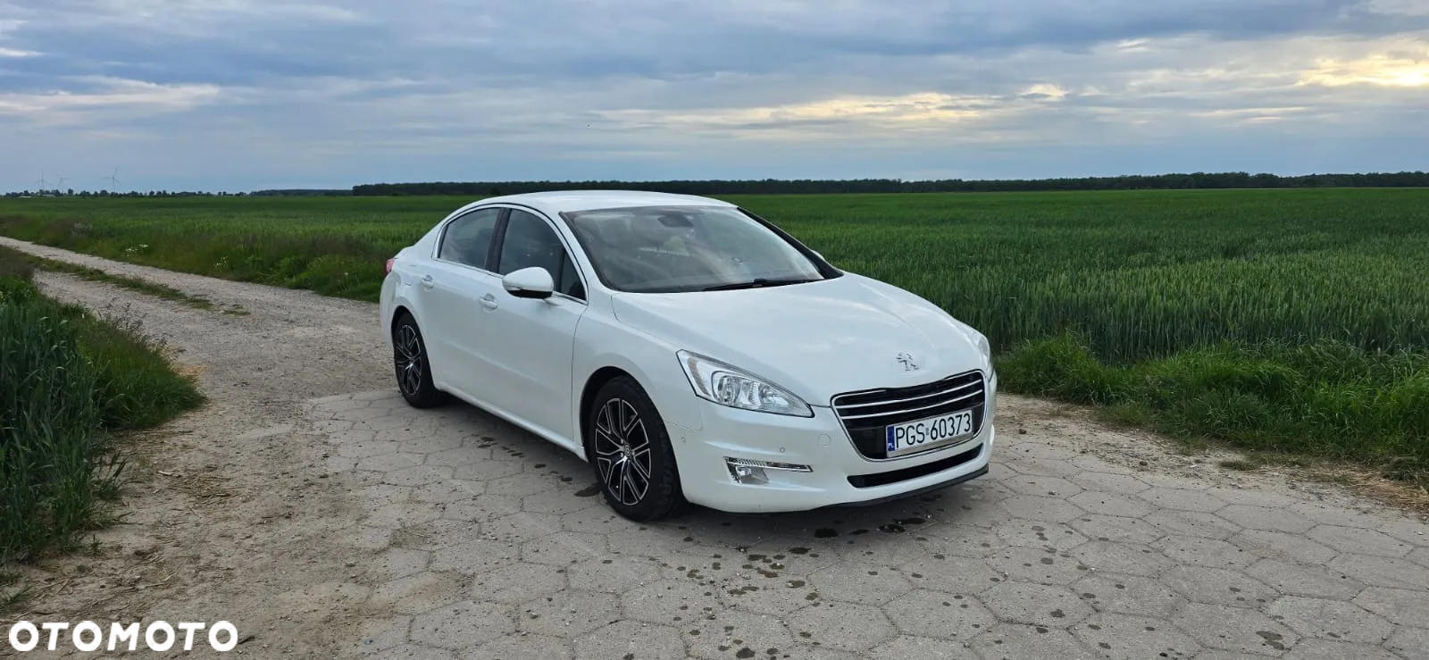 Peugeot 508 - 2