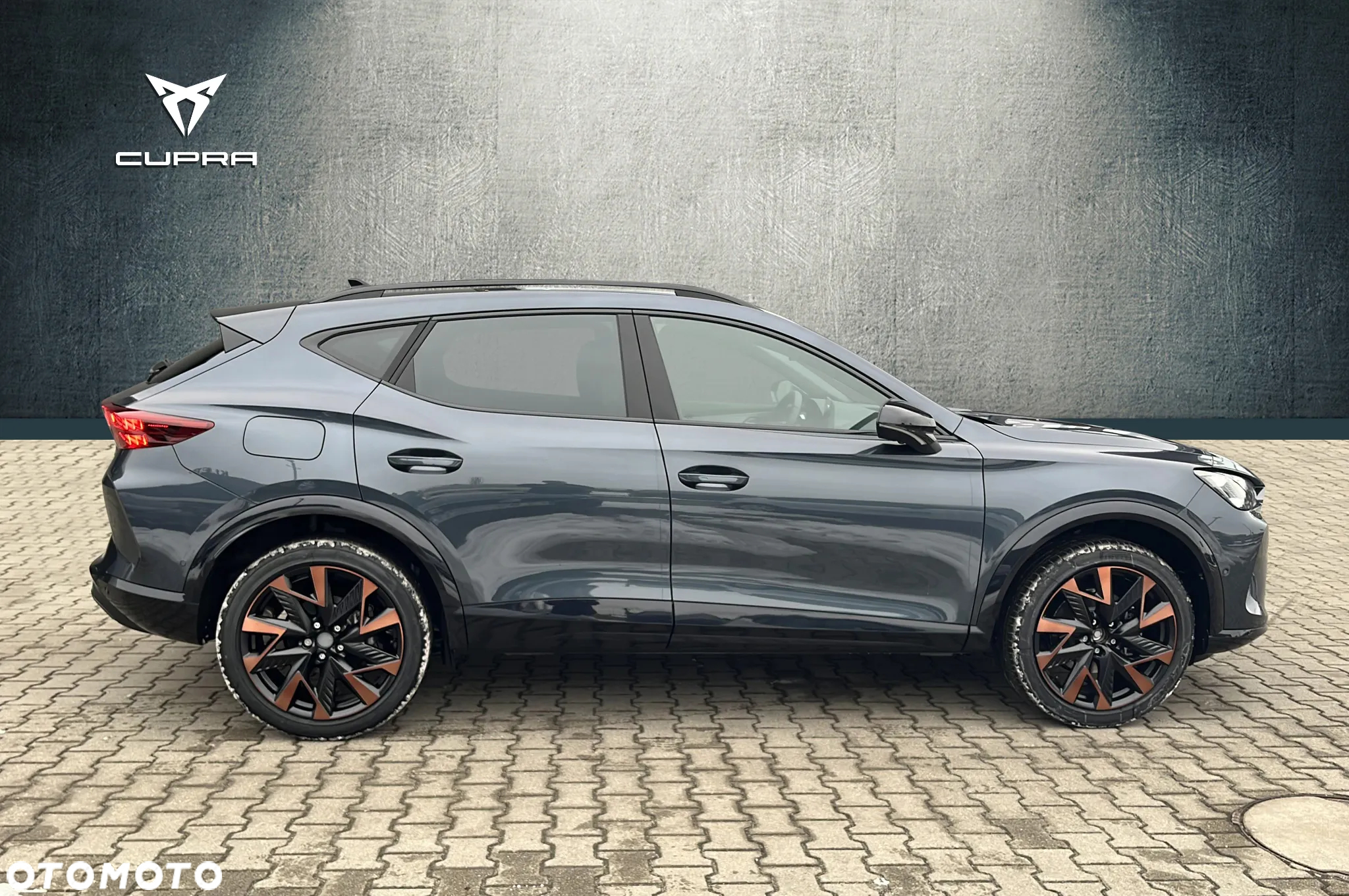 Cupra Formentor 2.0 TSI 4Drive DSG - 26