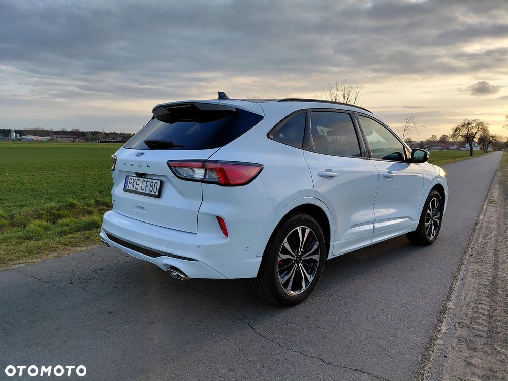 Ford Kuga 2.0 EcoBlue AWD ST-Line X - 8