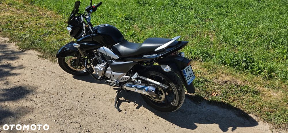 Suzuki GW 250 - 1