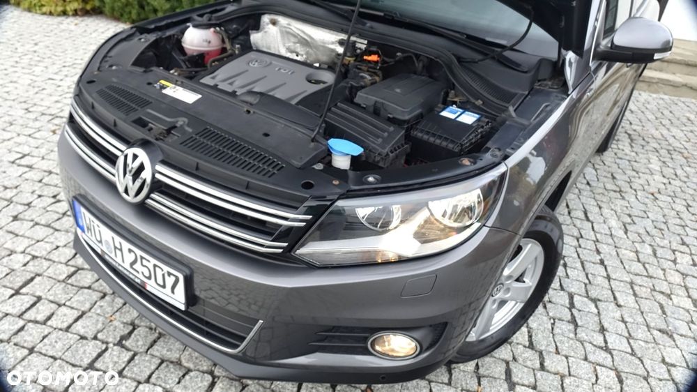Volkswagen Tiguan - 21