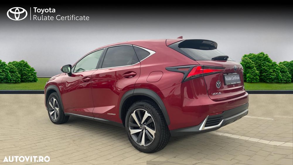Lexus Seria NX 300h FWD Luxury Panorama - 7