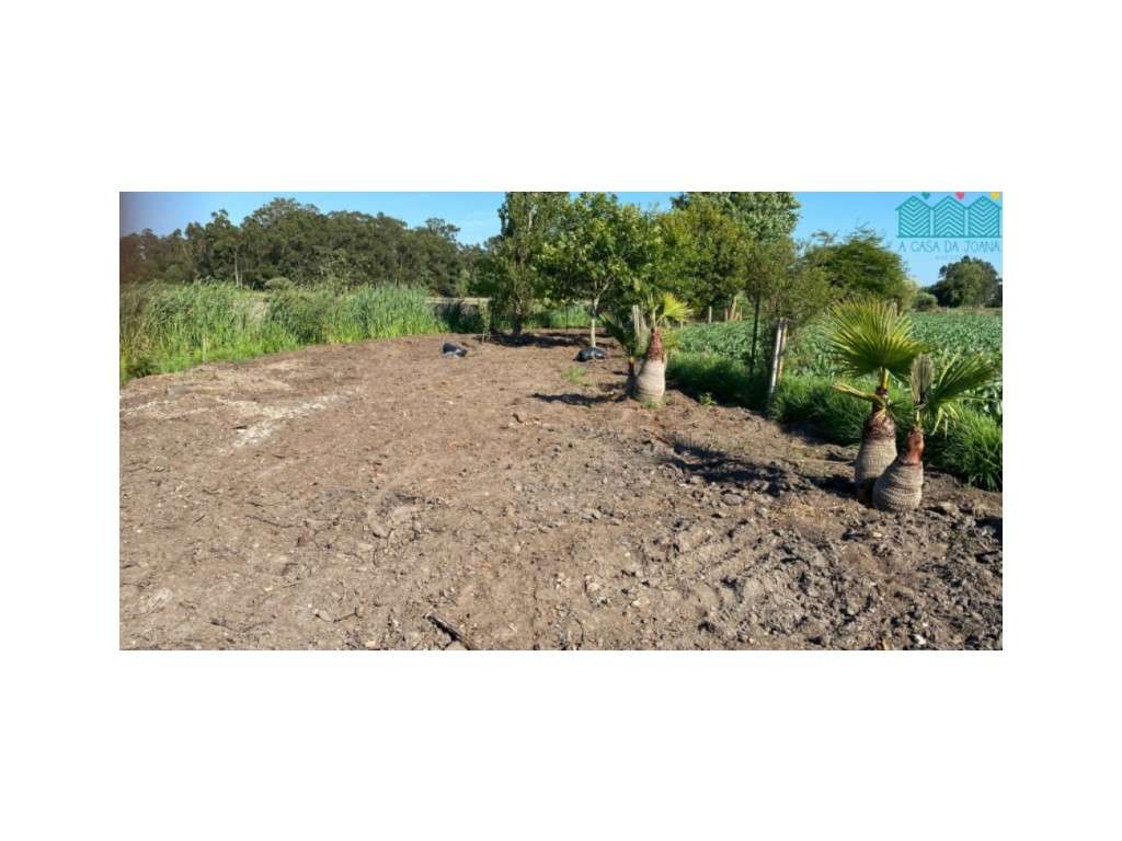 Terreno Com Projeto Aprovado no Bunheiro - Grande imagem: 2/12