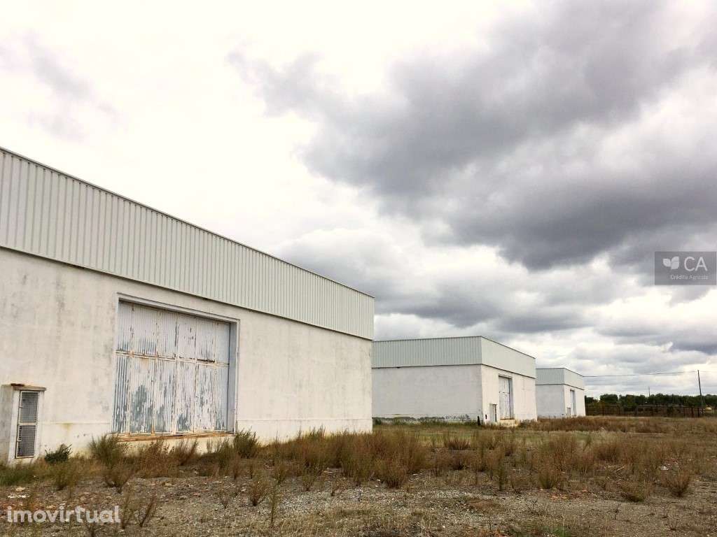 Armazéns e moradia inseridos em terreno com 109.500m² situado em Sa... - Grande imagem: 3/20