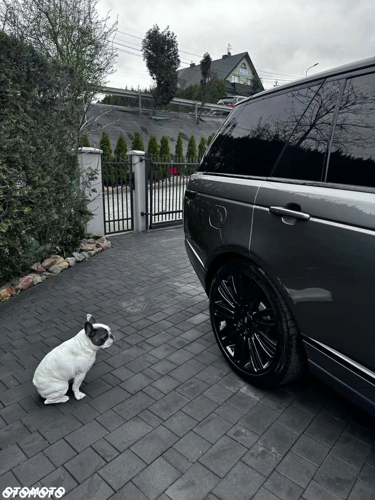 Land Rover Range Rover 5.0 V8 Kompressor Vogue - 10
