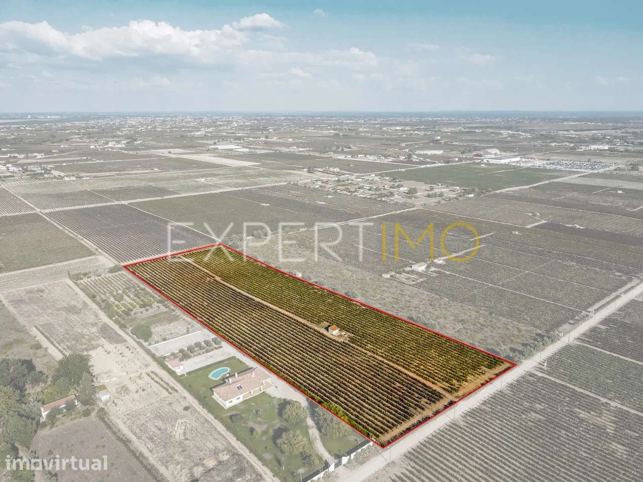 Terreno Rústico de 28.500 m² com vinha e potencial de construção - Grande imagem: 5/13