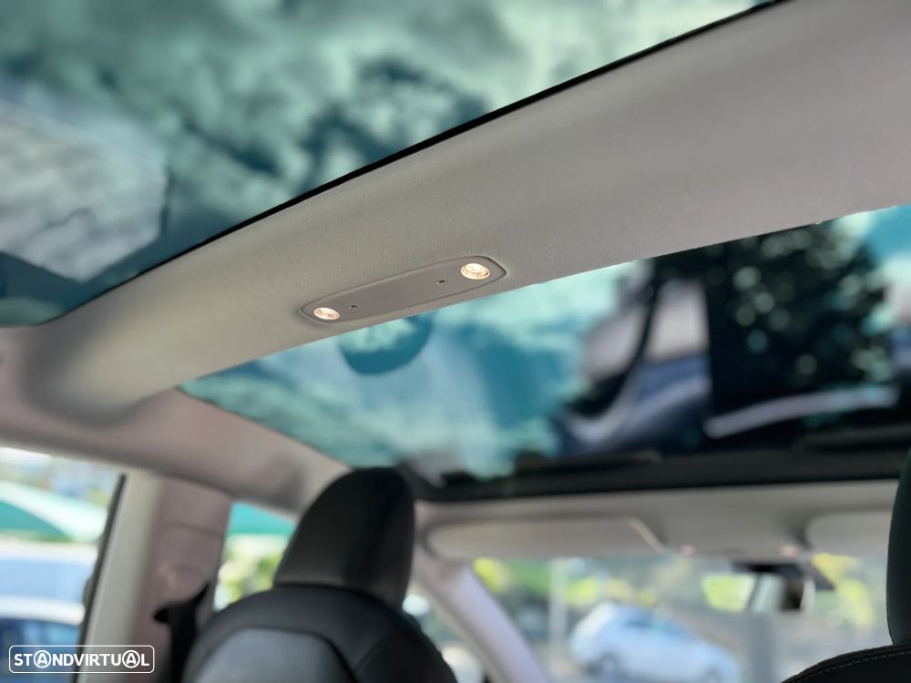 Tesla Model 3 Performance Dual Motor AWD - 30