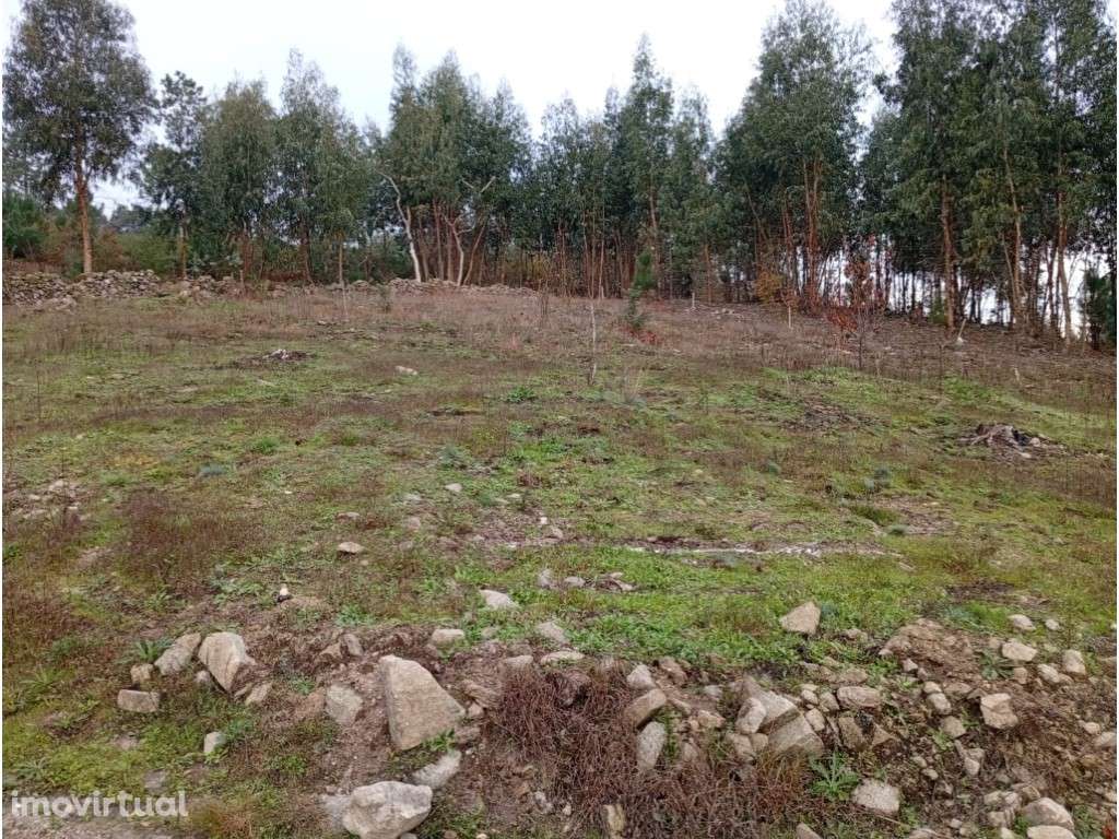 Terreno Urbanizável - Grande imagem: 5/18