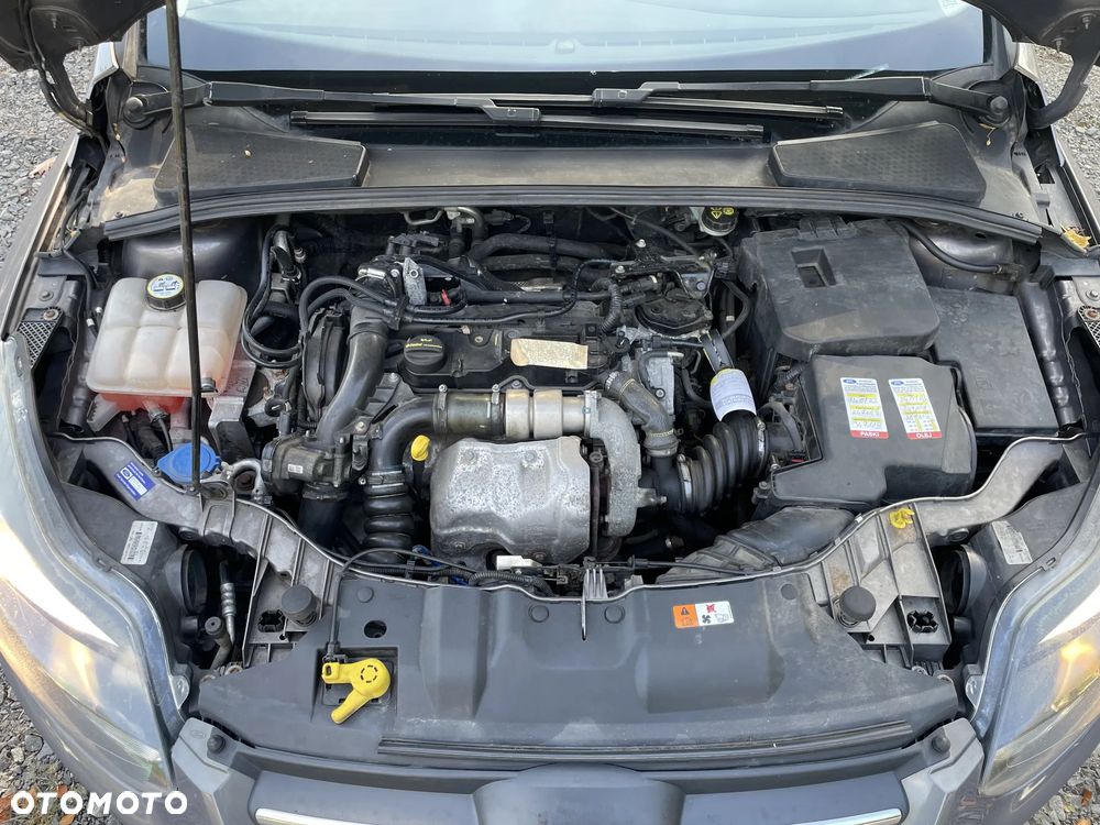 Ford Focus 1.6 TDCi DPF Start-Stopp-System Champions Edition - 39