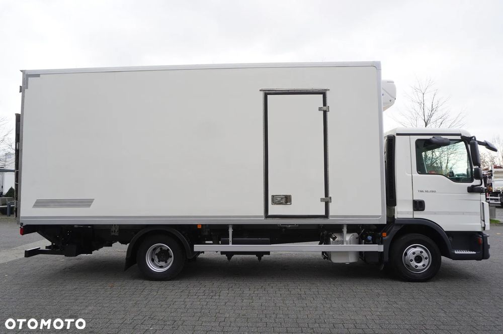 MAN TGL 12.190 / Zabudowa chłodnia 14 EPAL / Carrier Xarios 500 / 3 szt. - 8