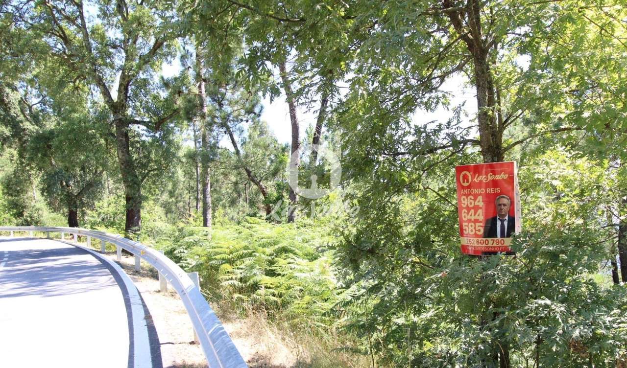 Terreno rustico com 2.650m2 em Terras do Bouro - Grande imagem: 3/6