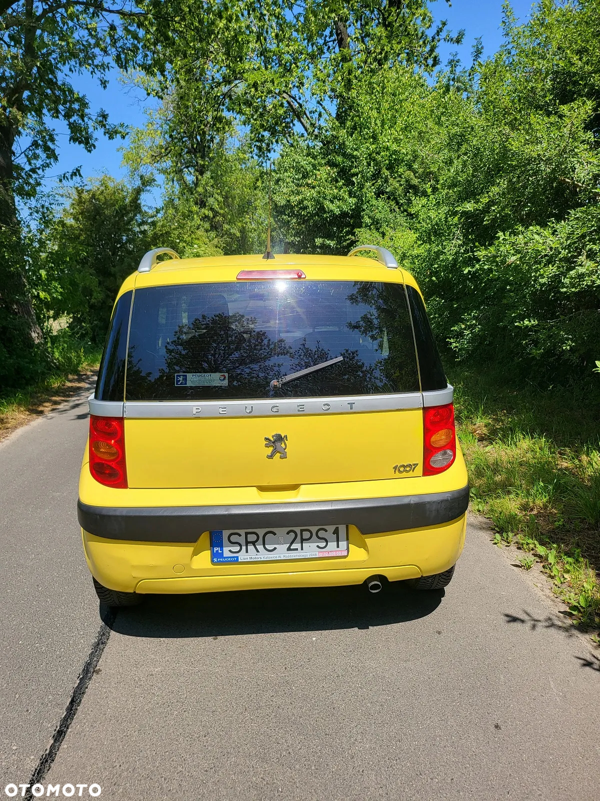 Peugeot 1007 - 5