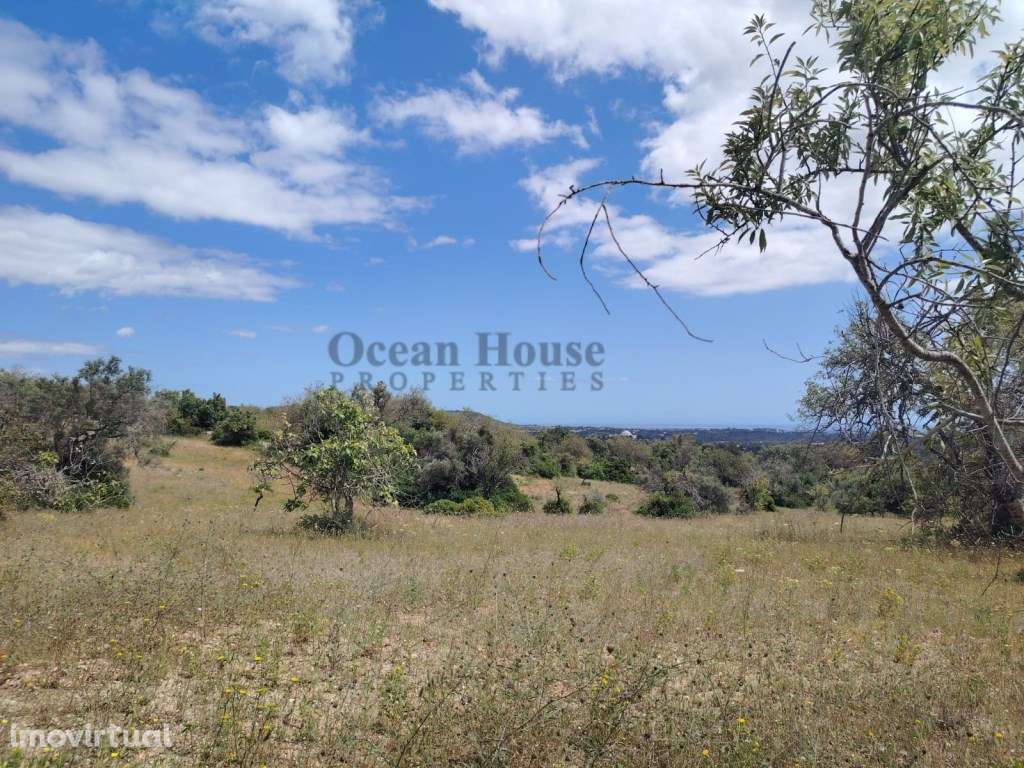 Vende-se vários terrenos rústicos com vista mar - Loulé - Grande imagem: 5/5