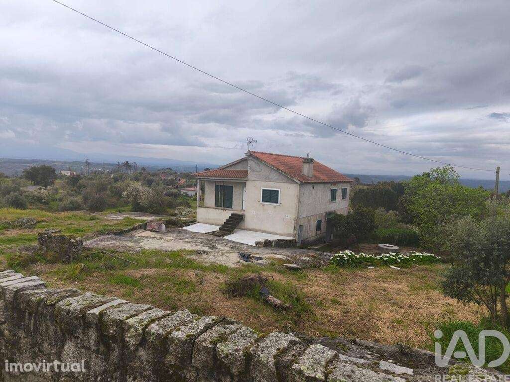 Casa de Campo T3 em Nelas de 6500,00 m2 - Grande imagem: 2/30