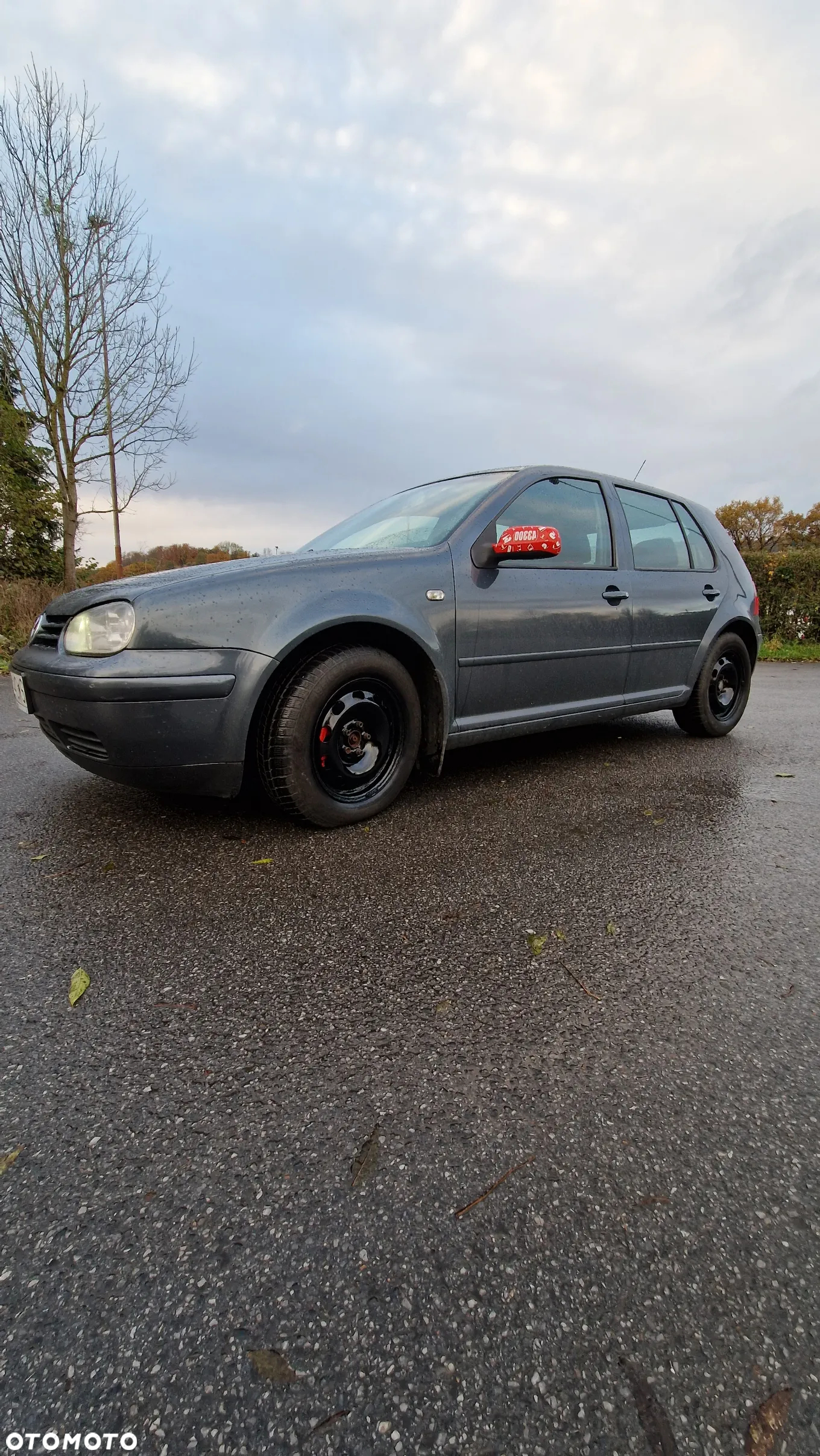 Volkswagen Golf - 9