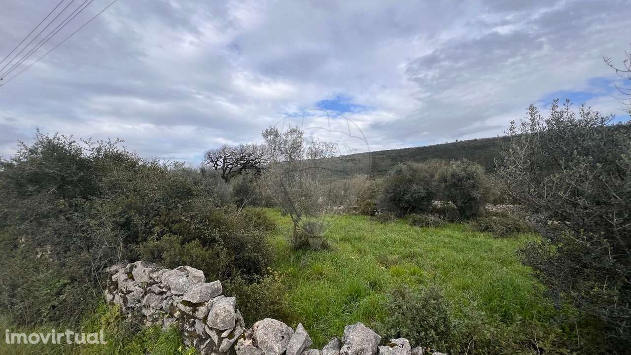 Terreno  para venda - Grande imagem: 3/6