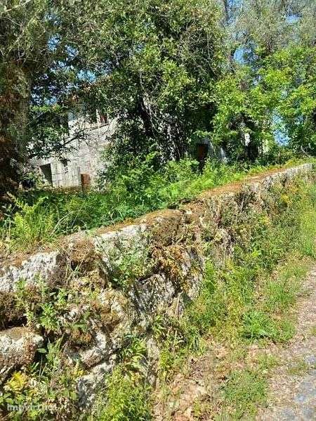 Quintinha Celoricoi de Basto - Grande imagem: 2/7