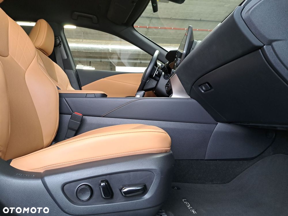 Lexus RX - 16