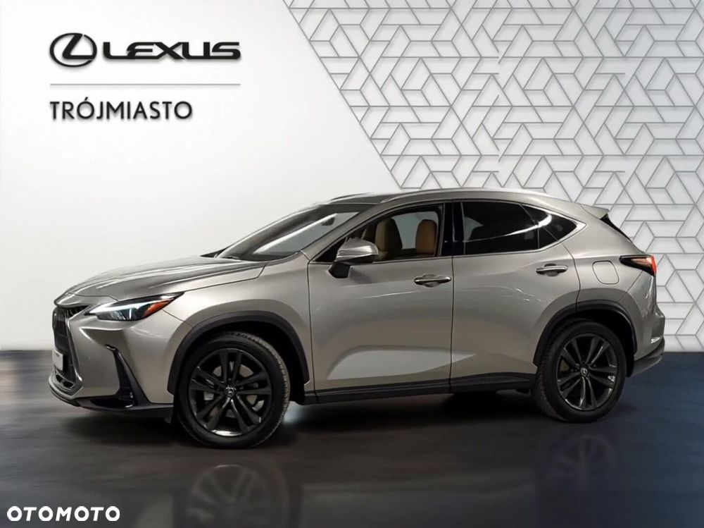 Lexus NX - 19