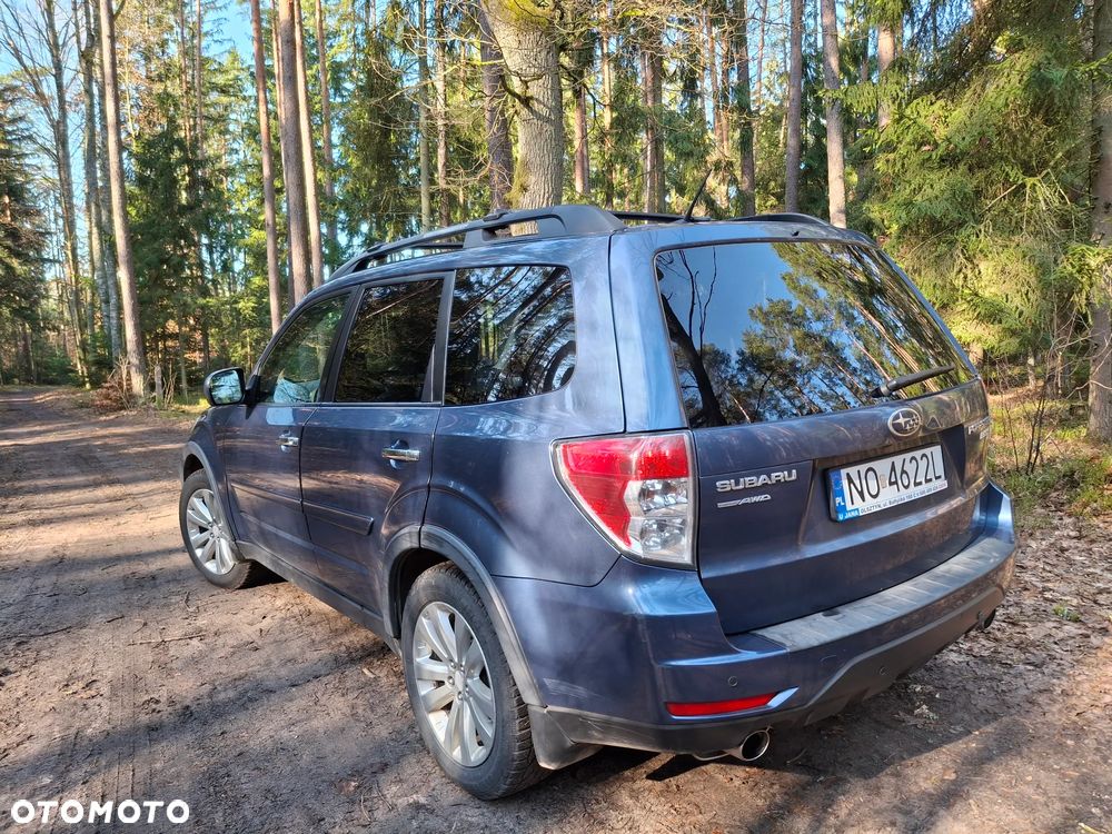 Subaru Forester - 6